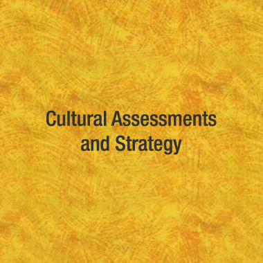 service cultural assessments and strategy